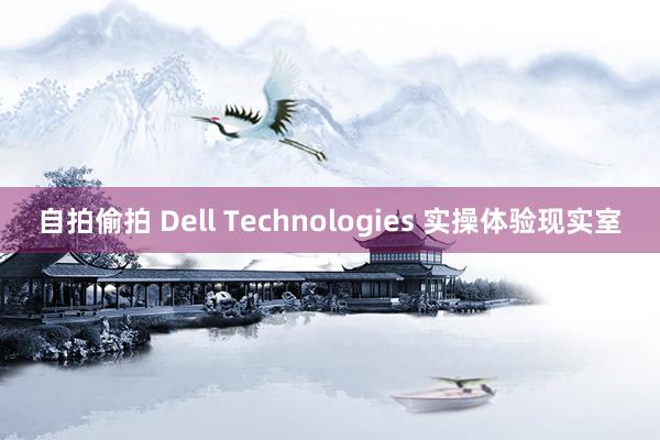 自拍偷拍 Dell Technologies 实操体验现实室