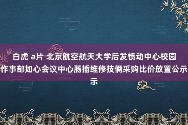 白虎 a片 北京航空航天大学后发愤动中心校园作事部如心会议中心肠插维修技俩采购比价放置公示