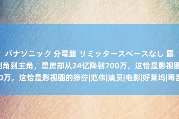 パナソニック 分電盤 リミッタースペースなし 露出・半埋込両用形 从副角到主角，票房却从24亿降到700万，这恰是影视圈的狰狞|范伟|演员|电影|好莱坞|毒舌讼师