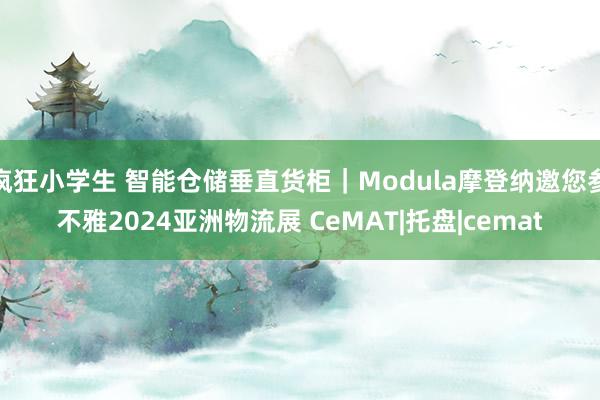 疯狂小学生 智能仓储垂直货柜｜Modula摩登纳邀您参不雅2024亚洲物流展 CeMAT|托盘|cemat