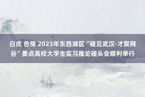 白虎 色情 2023年东西湖区“碰见武汉·才聚网谷”要点高校大学生实习推论碰头会顺利举行