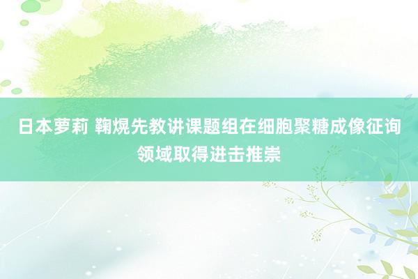 日本萝莉 鞠熀先教讲课题组在细胞聚糖成像征询领域取得进击推崇