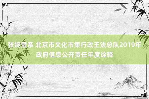 张婉莹系 北京市文化市集行政王法总队2019年政府信息公开责